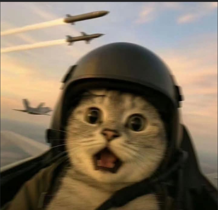 Trained Fighter Pilot